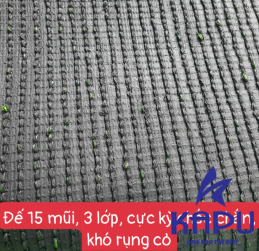 T035