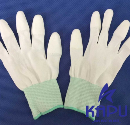 BH21